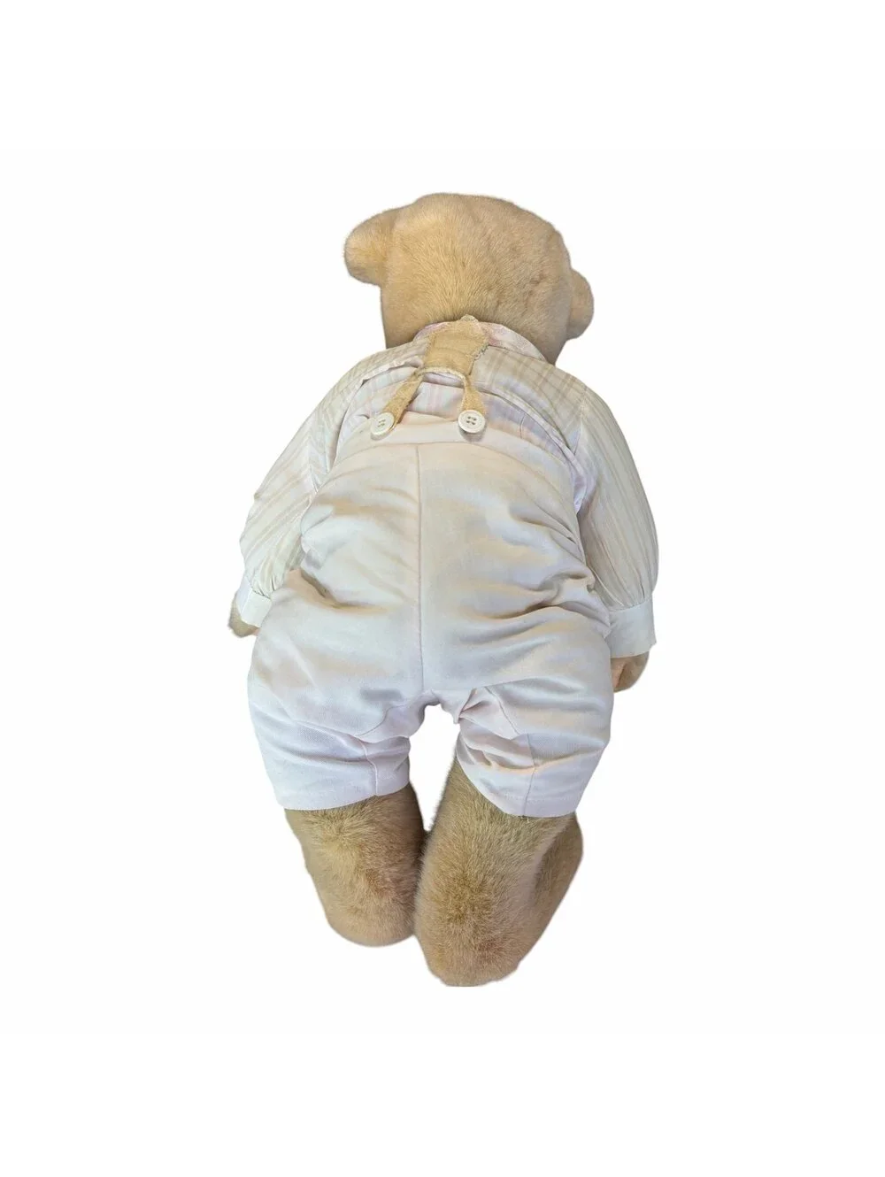 vintage Cornelius VanderBear dressed teddy bear by North American Bear Co., feat
